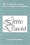 Little David