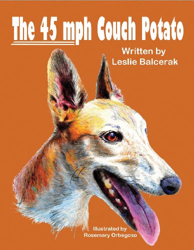 The 45 mph Couch Potato