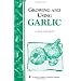 Growing and Using Garlic: Storey's Country Wisdom Bulletin A-183