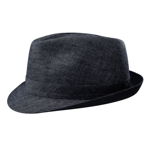 Stetson Cloth Men's Geneva Stingy Brim Linen Hat
