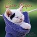Cat Naps, 2007 Mini Calendar