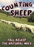Counting Sheep [2005]