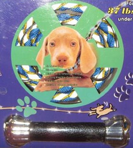 Flashing Dog Leash 37 Lbs or Under Black FQY-EL49