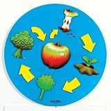 Lifecycle Apple Puzzle