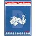 Practical Chinese Reader, Companion B (Traditional Character Edition) (Traditional Character Editions)