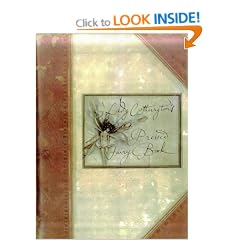 Lady Cottington's Pressed Fairy Book
