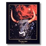 Taurus Bull Horn Zodiac Sign Astrology Home Decor Wall Picture 16x20 Art Print
