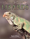 Lizards (Nature Watch)
