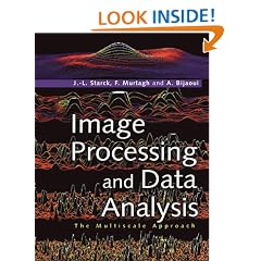 Image Processing and Data Analysis: The Multiscale Approach