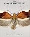 Books : The Ganzfeld #3