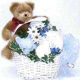 Bundle Of Joy: Baby Gift Basket