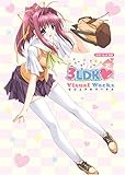 3LDK ビジュアルワークス (SOFGARE BOOKS)