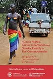 Human rights, sexual orientation and gender identity in the Commonwealth : struggles for decriminalisation and change