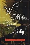 What makes a child lucky : a novel