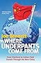 Where Underpants Come from: From Checkout to Cotton Field - Travels Through the New China