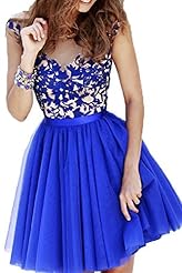 Junior Vintage Sheer Beaded Lace Tulle 2015 Natural   Waistline Cocktail Short Long Sleeves Evening Dress/Homecoming Dress/Prom Dress/Party Dress/Wedding Dress/Mini Dress 