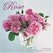 The Rose 2009 Wall Calendar 12 X 12