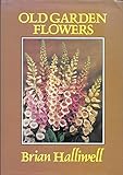 Old garden flowers