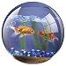 Fellowes Round Brite Mat Mouse Pad Goldfish Bowl