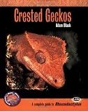 Crested Geckos: A Complete Guide to Rhacodactylus (Complete Herp Care)