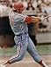 Greg Luzinski autographed 8x10 Phillies photo