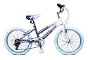 Concept Enchanted Girls 20" Mountain Bike
