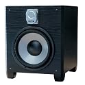 10-Inch Subwoofer
