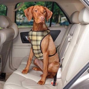 Guardian Gear Plaid Car Harness