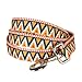 Blueberry Pet Durable Elite Basic Dog Leash for Puppy with Flame Stitch and Henley Stripes 6 ft x 3/8