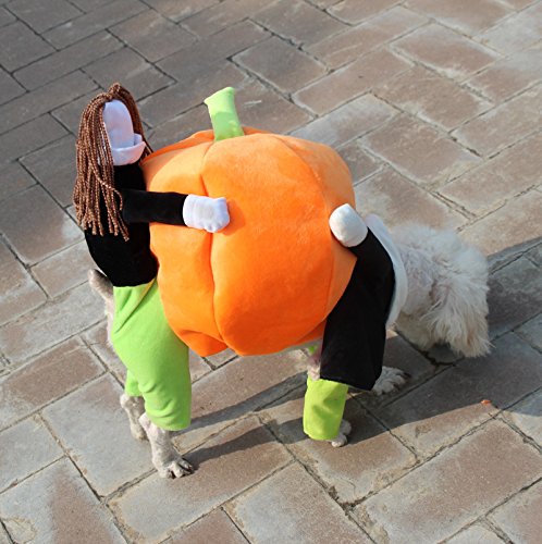 iiniim Pet Dog Cat Carrying Pumpkin Halloween Costume Fancy Party Jacket Apparel (M)