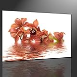 Keilrahmenbild orange Orchidee ( Blumenbild ) - fertig gerahmt auf Keilrahmen, Qualitätsware 100% Made in Germany! Unser Service für Sie - 1 Jahres Garantie auf unsere Bilder. Das ideale Geburtstagsgeschenk.