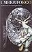 Confessions of a Young Novelist (The Richard Ellmann Lectures in Modern Literature)