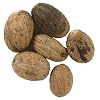 Frontier Nutmeg Whole, 16 Ounce Bag