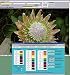 Avanquest Romany Growing Plants Interactive Encyclopedia 3 Deluxe (PC)