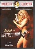 Angel of Destruction [DVD] [Region 1] [US Import] [NTSC]