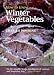 How to Grow Winter Vegetables