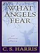 What angels fear : a historical mystery