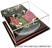 CLEMSON TIGERS LIMITED EDITION STADIUM REPLICA