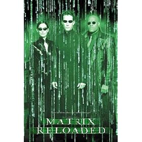 Matrix Reloaded (Trio in Matrix) Movie Poster Print - 24" X 36"