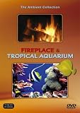 Fireplace and Tropical Aquarium