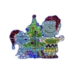 Snoopy and Charlie Brown Illuminated Yard Art : Target : charlie brown lighting home decor winter christmas