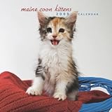Maine Coon Cat Kittens 2009 7X7 Mini Wall Calendar