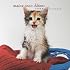 Maine Coon Cat Kittens 2009 7X7 Mini Wall Calendar