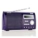 Intempo TRS-01V - Portable DAB Radio - Violet