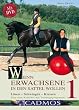 Wenn Erwachsene in den Sattel wollen - mit DVD: L�sen � Schwingen � Kreisen: Eine neue Reitlehre mit Trainingsprogramm