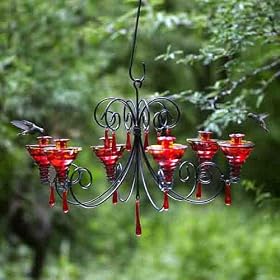 Parasol GRCHGLFR Grand Chandelier ~ Blown Glass Hummingbird Feeder - Gloria Flame Red by 
