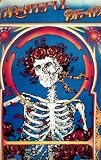 Grateful Dead ~ Rare Classic Poster Print ~ Approx 24 x 36 inches