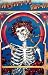 Grateful Dead ~ Rare Classic Poster Print ~ Approx 24 x 36 inches