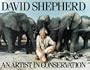 An Artist in Conservation