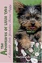 The Adventures of Little Tyke: A Loveable Little Yorkshire Terrier Puppy